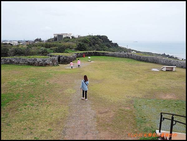 cats6-1.jpg cats6-1.jpg