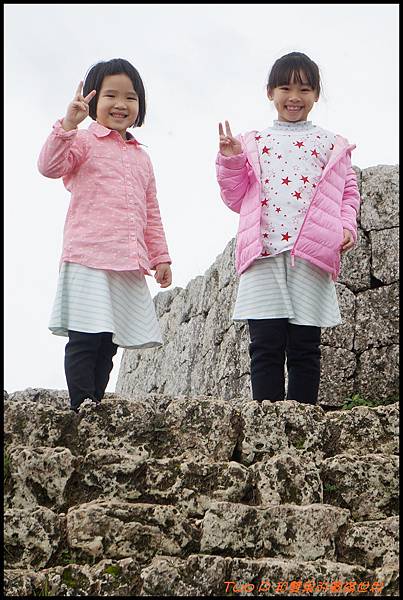 cats10.JPG cats10.JPG