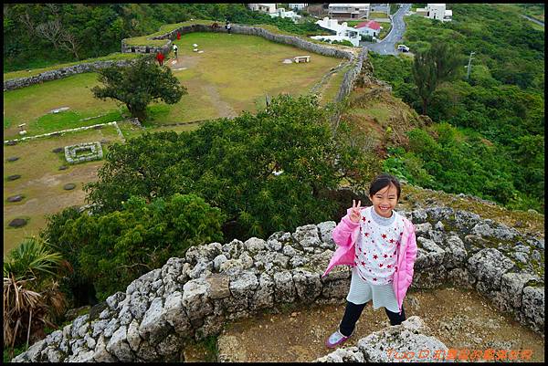 cats12.JPG cats12.JPG