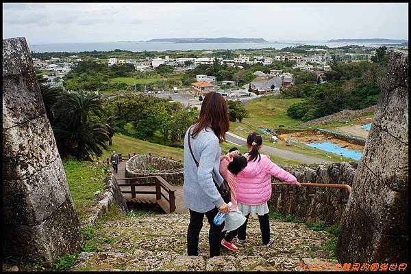 cats13.JPG cats13.JPG