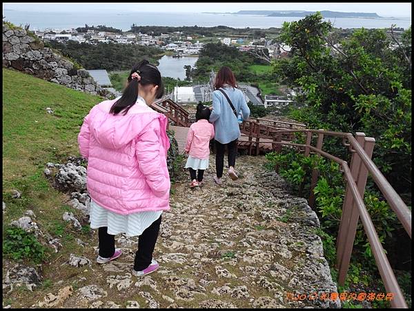 cats16.jpg cats16.jpg