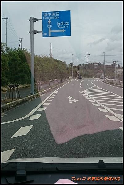 cats17.JPG cats17.JPG