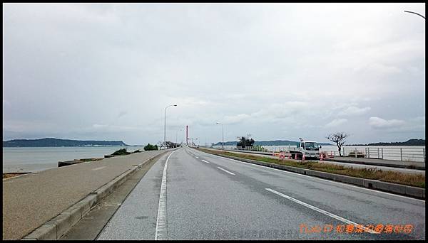 cats18.JPG cats18.JPG