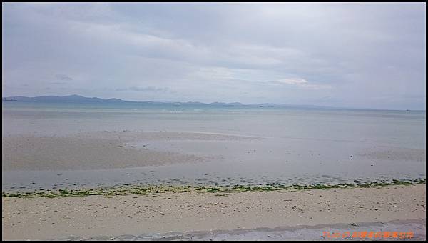 cats19.JPG cats19.JPG