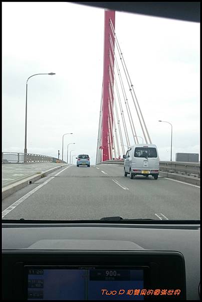 cats19-1.JPG cats19-1.JPG