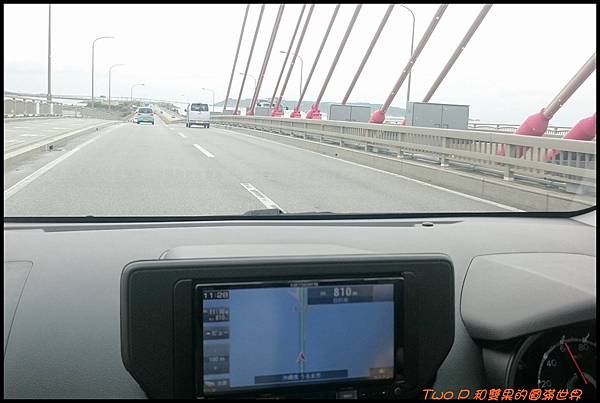 cats20.JPG cats20.JPG