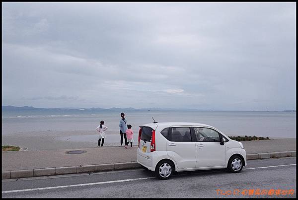 cats21.jpg cats21.jpg