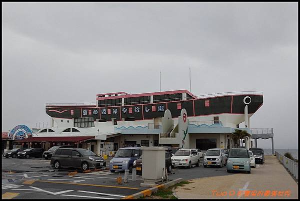 cats22.jpg cats22.jpg