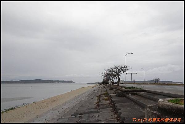 cats23.jpg cats23.jpg