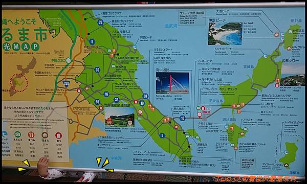 cats24.JPG cats24.JPG