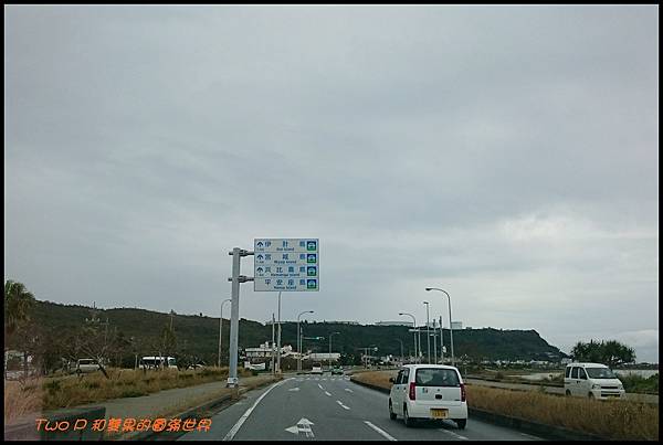 cats26.JPG cats26.JPG