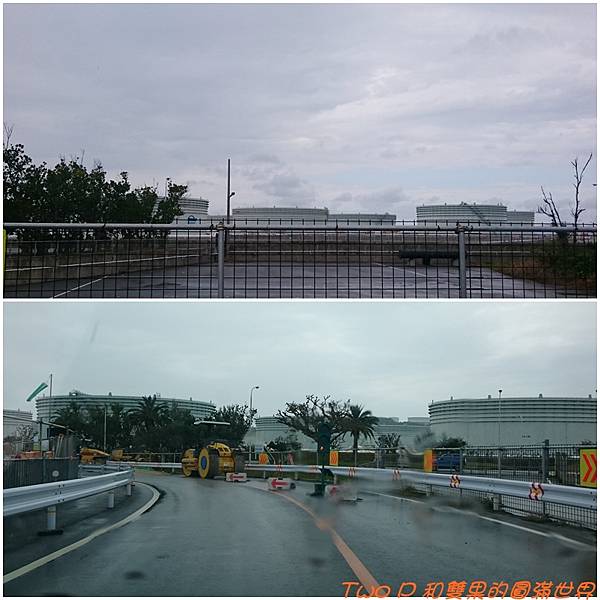 cats26-2.jpg cats26-2.jpg