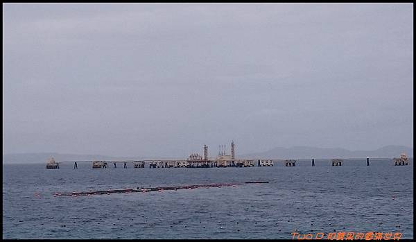 cats27.JPG cats27.JPG