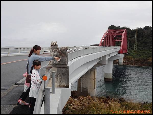 cats27-1.jpg cats27-1.jpg