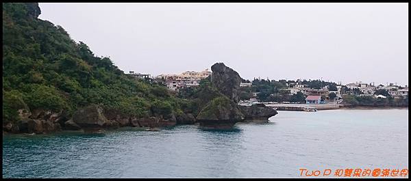 cats28.JPG cats28.JPG