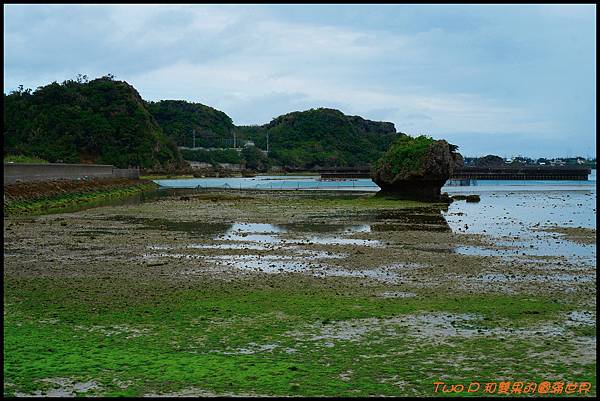 cats29.JPG cats29.JPG