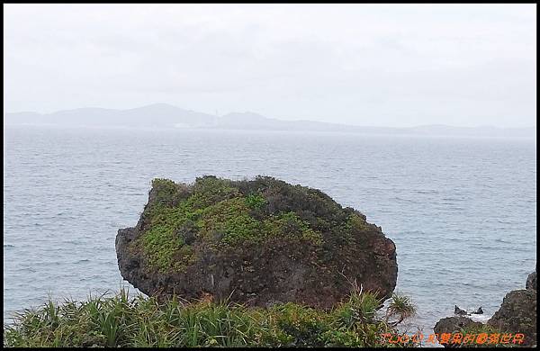 cats30.jpg cats30.jpg