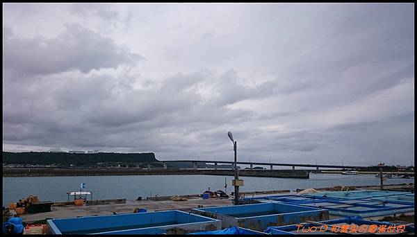 cats31.JPG cats31.JPG