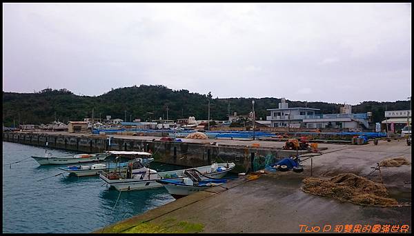 cats32.JPG cats32.JPG