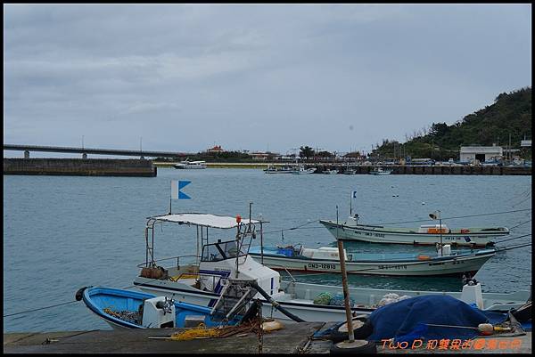 cats33.JPG cats33.JPG