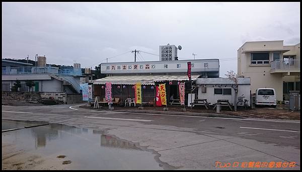 cats34.jpg cats34.jpg