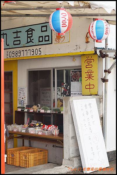 cats35.JPG cats35.JPG