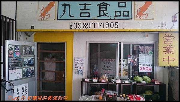 cats35-1.JPG cats35-1.JPG