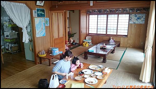 cats39.JPG cats39.JPG