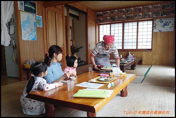 cats47.jpg cats47.jpg