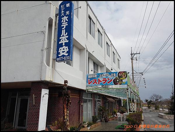 cats57.jpg cats57.jpg