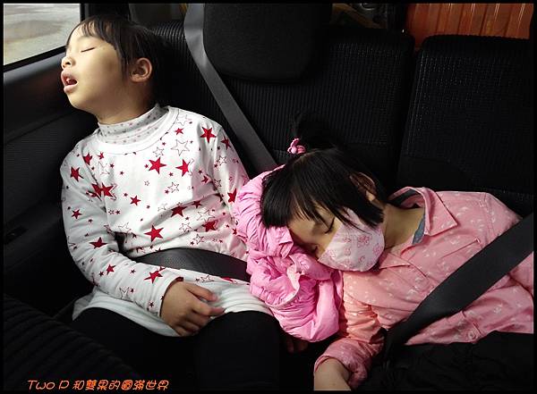 cats60.jpg cats60.jpg