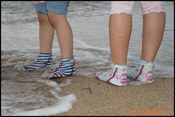 cats9-1.JPG cats9-1.JPG