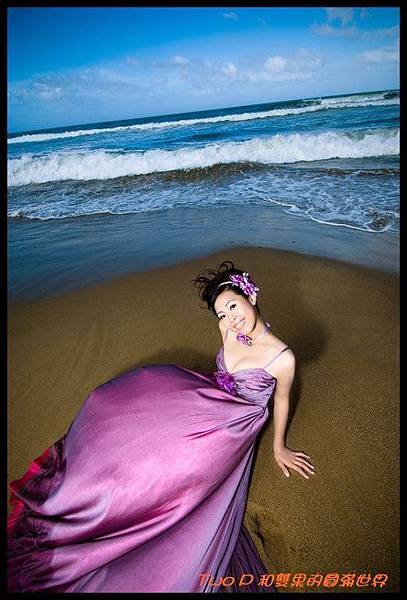 cats13.jpg cats13.jpg