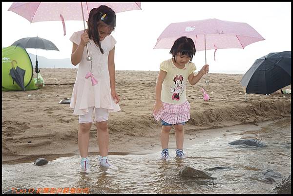 cats14.JPG cats14.JPG