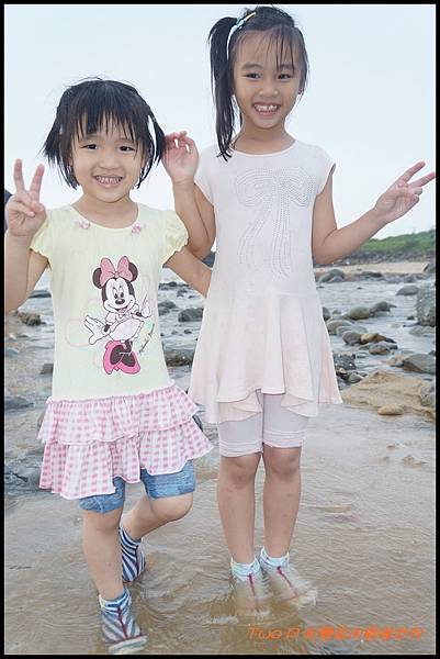 cats14-1.JPG cats14-1.JPG