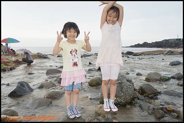 cats16.JPG cats16.JPG