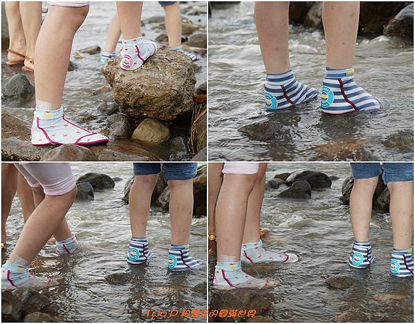 cats17.jpg cats17.jpg