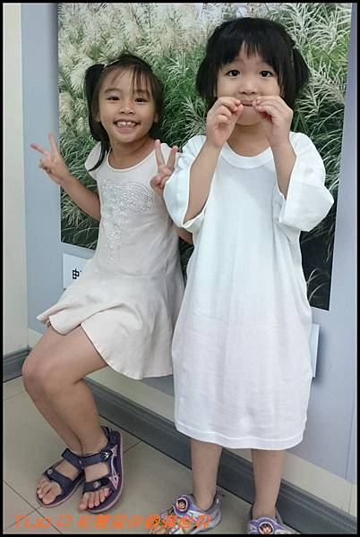 cats19.jpg cats19.jpg