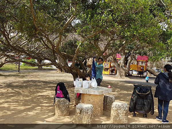 20170215_115217.jpg 20170215_115217.jpg