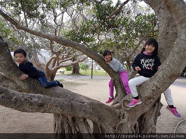 20170215_120854.jpg 20170215_120854.jpg