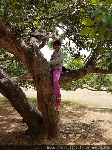 20170215_121401.jpg 20170215_121401.jpg