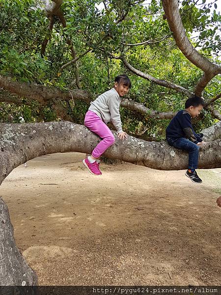 20170215_121608.jpg 20170215_121608.jpg