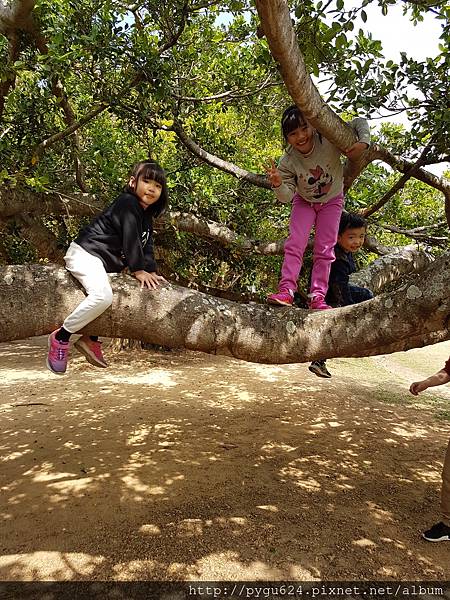 20170215_122007.jpg 20170215_122007.jpg