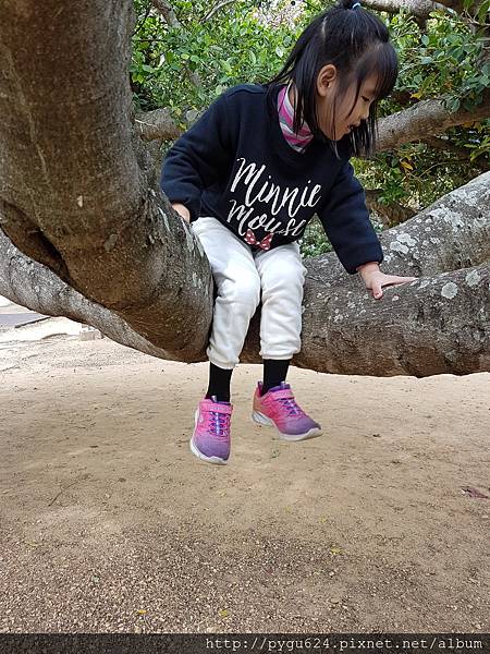 20170215_122158.jpg 20170215_122158.jpg