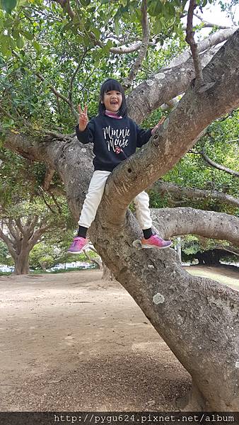 20170215_122326.jpg 20170215_122326.jpg