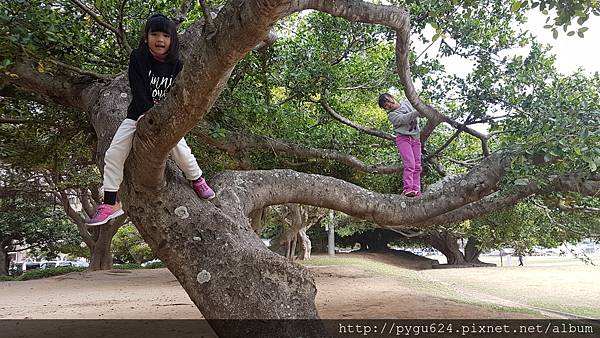 20170215_122343.jpg 20170215_122343.jpg