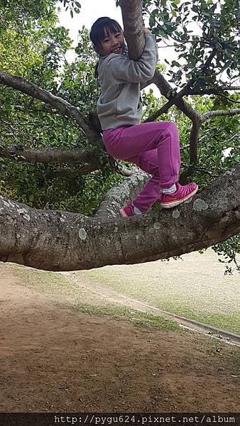 20170215_122354.jpg 20170215_122354.jpg