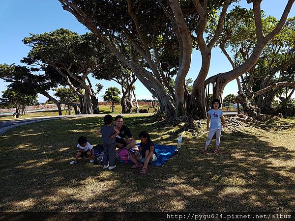 今天從早到晚再傳一次到相簿_170828_0129.jpg 今天從早到晚再傳一次到相簿_170828_0129.jpg