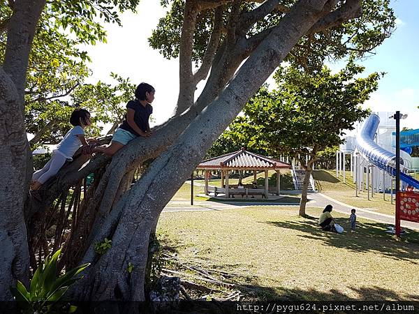 今天從早到晚再傳一次到相簿_170828_0135.jpg 今天從早到晚再傳一次到相簿_170828_0135.jpg