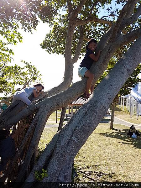 今天從早到晚再傳一次到相簿_170828_0136.jpg 今天從早到晚再傳一次到相簿_170828_0136.jpg